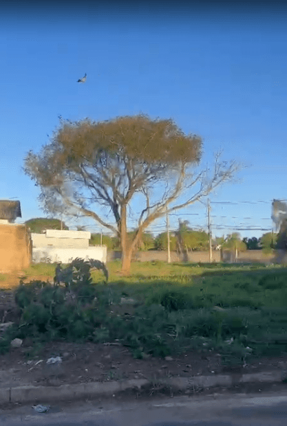 Terreno / Lote / Condomínio em Jardim Ipanema - Uberlândia
