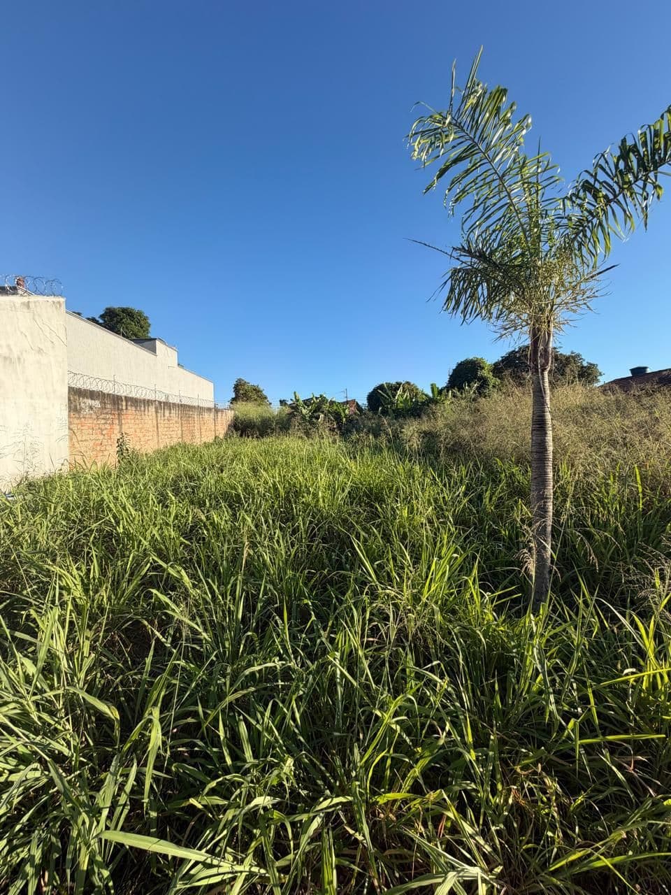 Terreno / Lote / Condomínio em B.Jardim Buriti Sereno - Goiânia